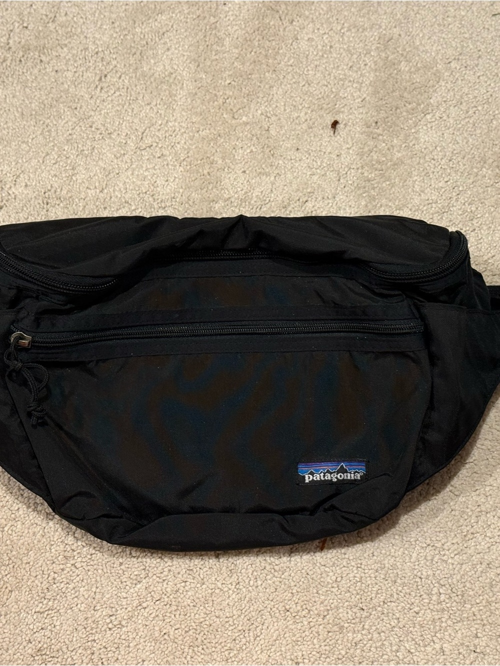 Patagonia Black Fanny Pack with Front Zip Pocket